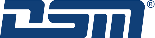 DSM Messtechnik GmbH logo
